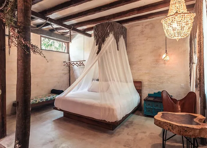 Hidden Treehouse Eco-hotel