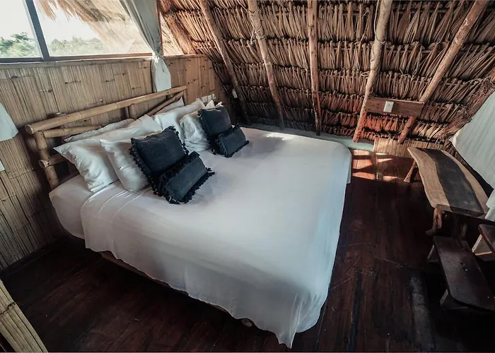 Hidden Treehouse Eco-hotel Hotel