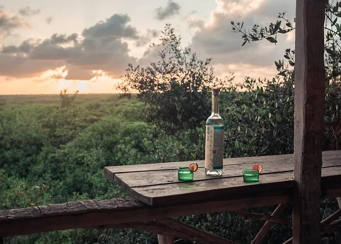 Hidden Treehouse Eco-hotel Hotel