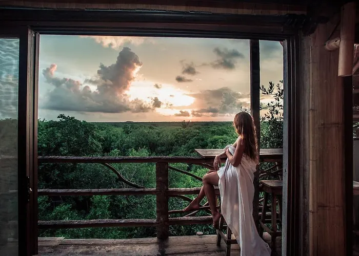 Hidden Treehouse Eco-hotel