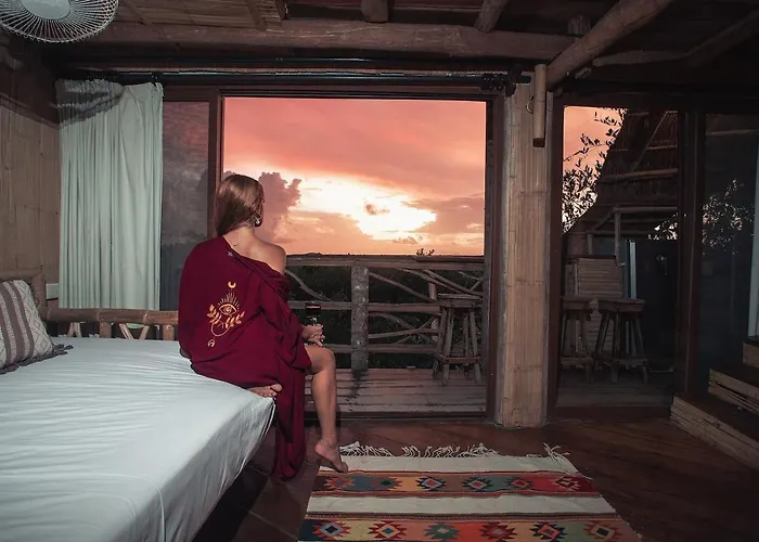 Hotel Hidden Treehouse Eco-hotel 4*