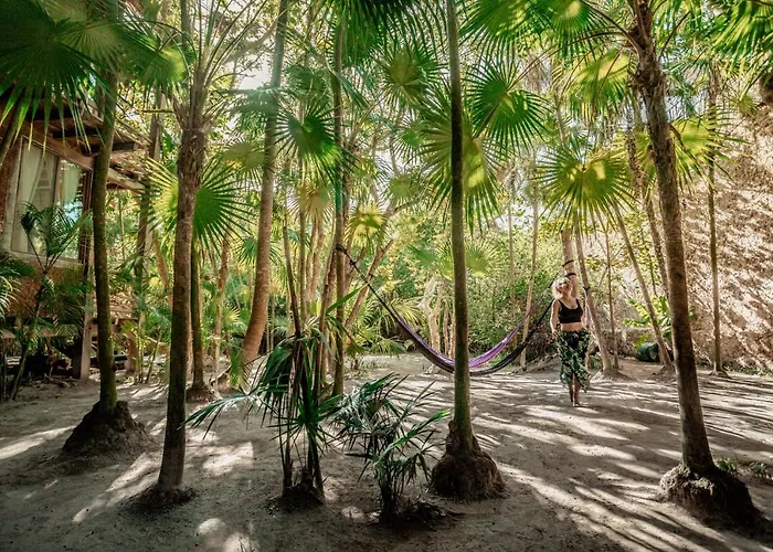 Hotel Hidden Treehouse Eco-hotel 4*