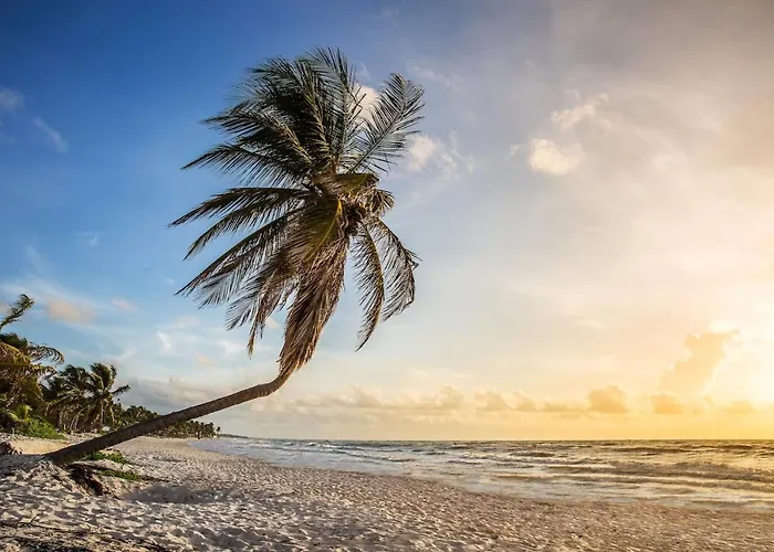 Hotel Hidden Treehouse Eco-hotel Tulum