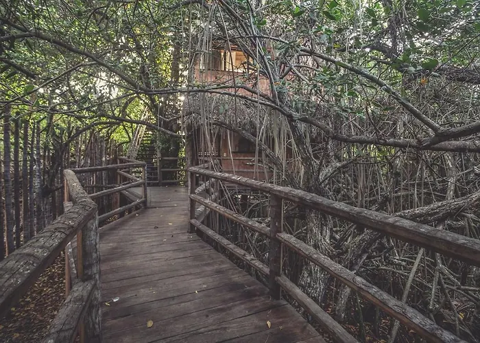 Hidden Treehouse Eco-hotel