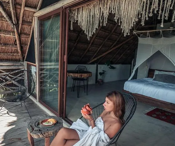 Hotel Hidden Treehouse Eco-hotel