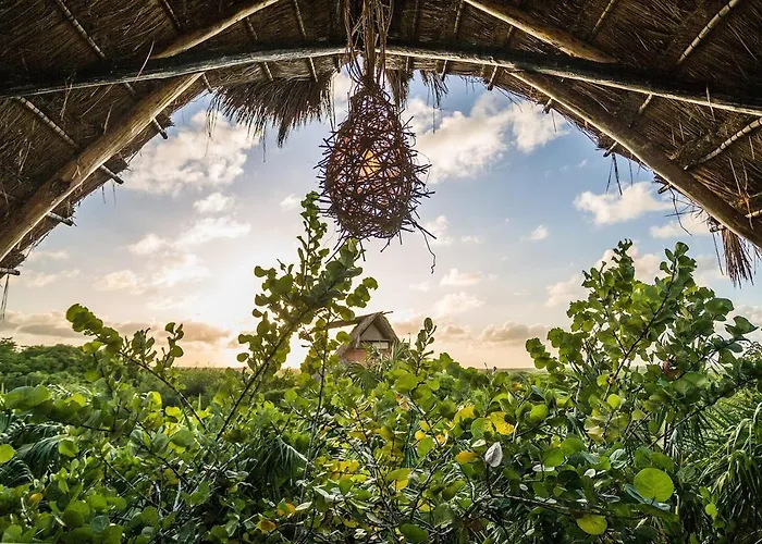 Hidden Treehouse Eco-hotel 4*