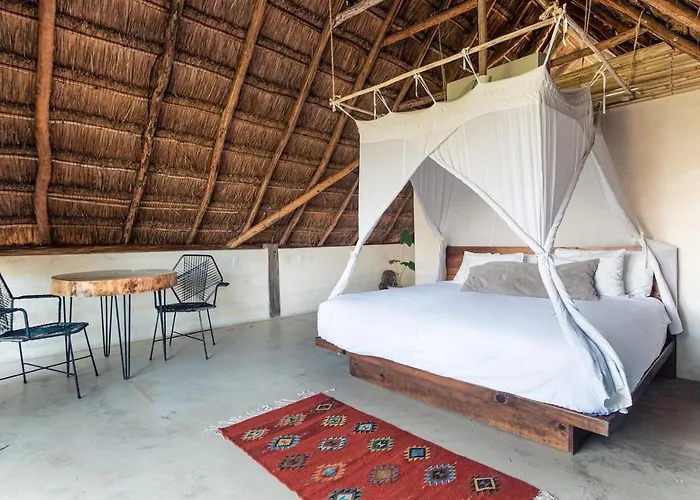 Hotel Hidden Treehouse Eco-hotel
