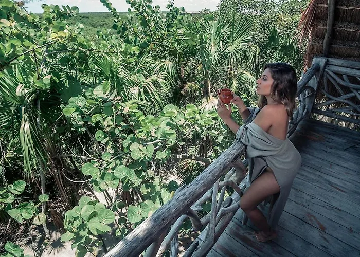 Hotel Hidden Treehouse Eco-hotel