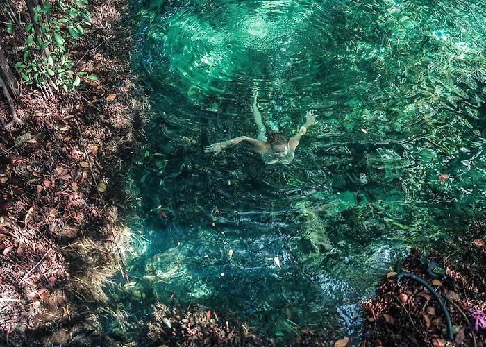 Hidden Treehouse Eco-hotel 4* Tulum